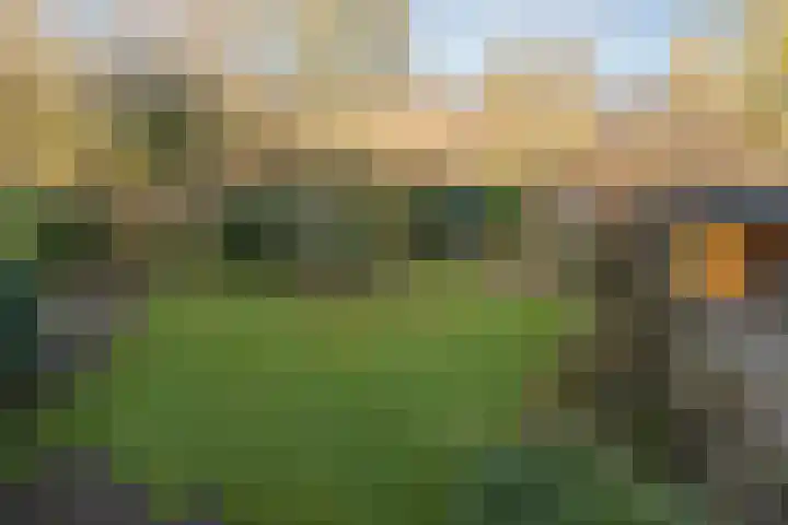 De Kievit 84 Driebergen-Rijsenburg thumbnail 27