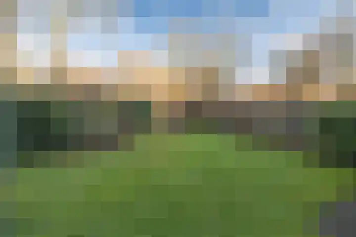 De Kievit 84 Driebergen-Rijsenburg thumbnail 28