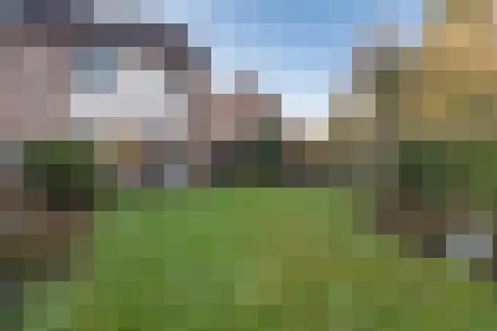 De Kievit 84 Driebergen-Rijsenburg thumbnail 29