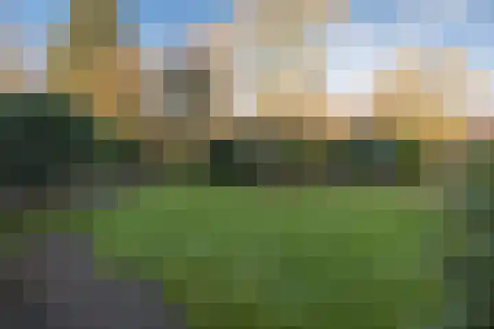 De Kievit 84 Driebergen-Rijsenburg thumbnail 30