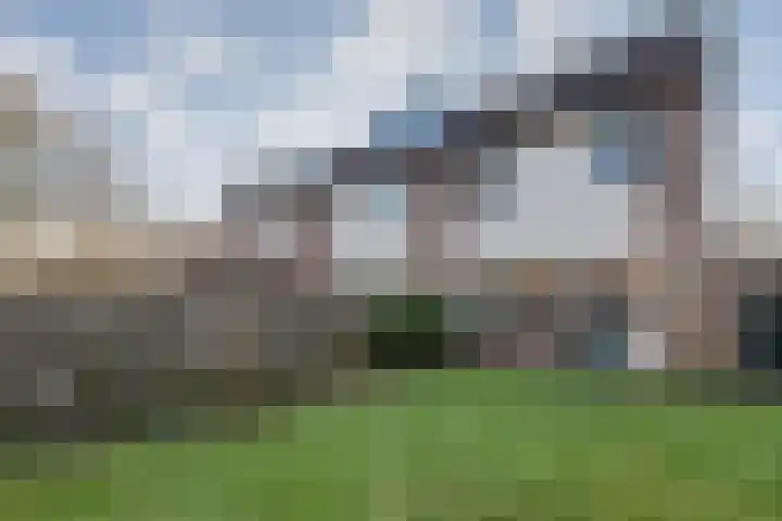 De Kievit 84 Driebergen-Rijsenburg thumbnail 31