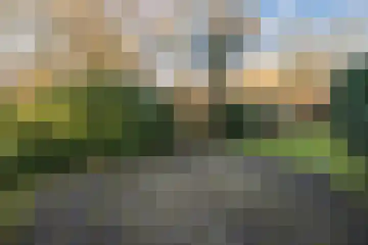 De Kievit 84 Driebergen-Rijsenburg thumbnail 33