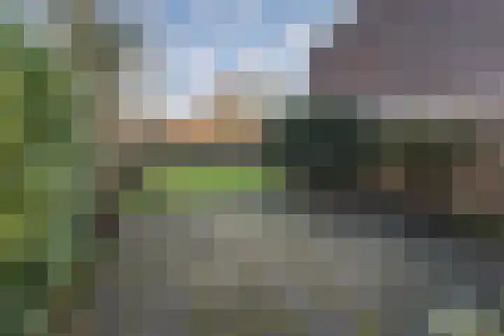 De Kievit 84 Driebergen-Rijsenburg thumbnail 34