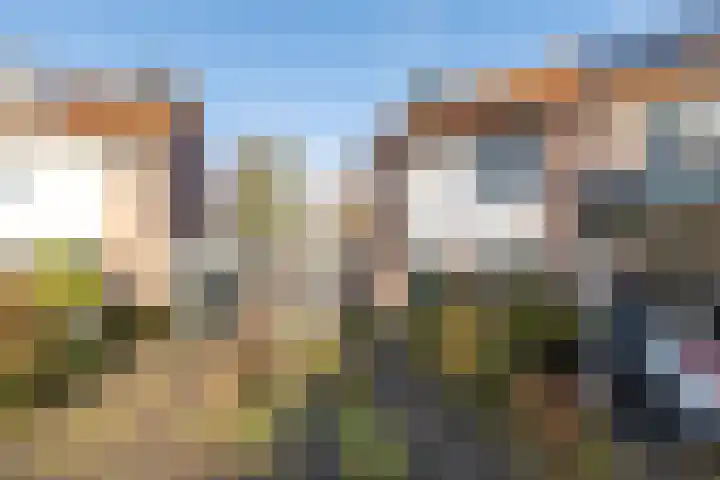 De Kievit 84 Driebergen-Rijsenburg thumbnail 35