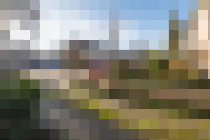 De Kievit 84 Driebergen-Rijsenburg thumbnail 36