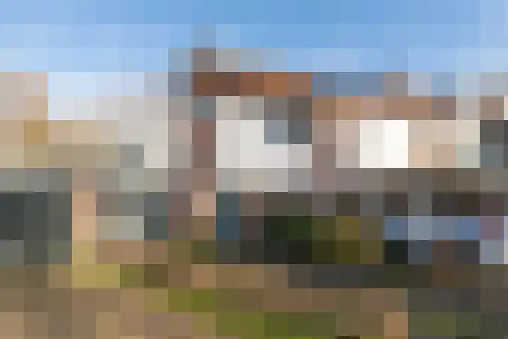 De Kievit 84 Driebergen-Rijsenburg thumbnail 40