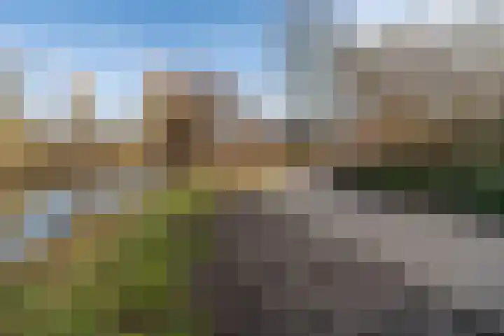 De Kievit 84 Driebergen-Rijsenburg thumbnail 43