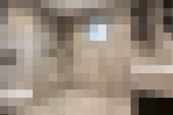 de Kievit 86 Denekamp thumbnail 16