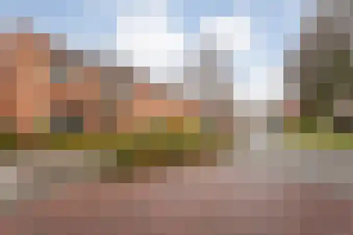 de Kievit 86 Denekamp thumbnail 23