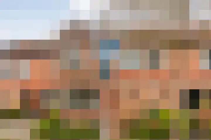de Kievit 86 Denekamp thumbnail 25