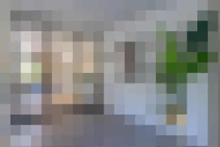 De Kievit 9 Vroomshoop thumbnail 12