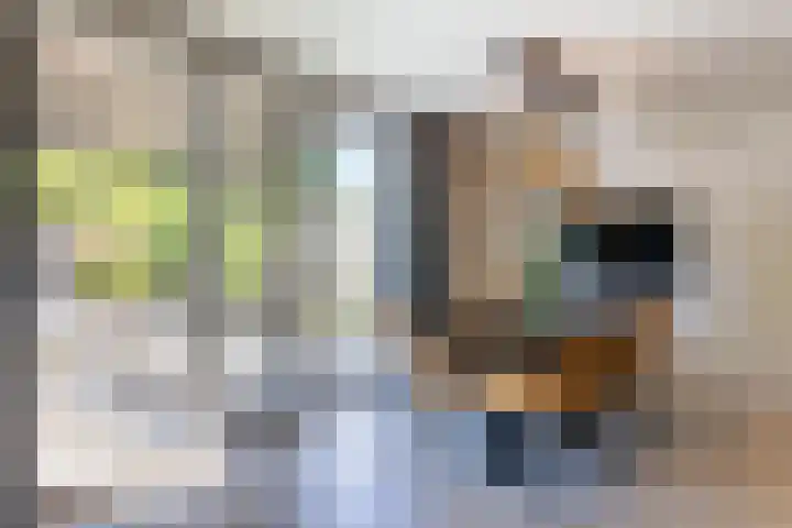 De Kievit 9 Vroomshoop thumbnail 14