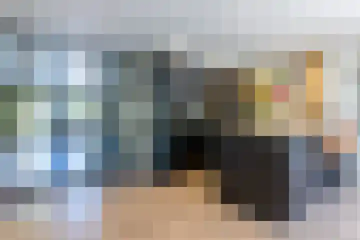 De Kievit 9 Vroomshoop thumbnail 16
