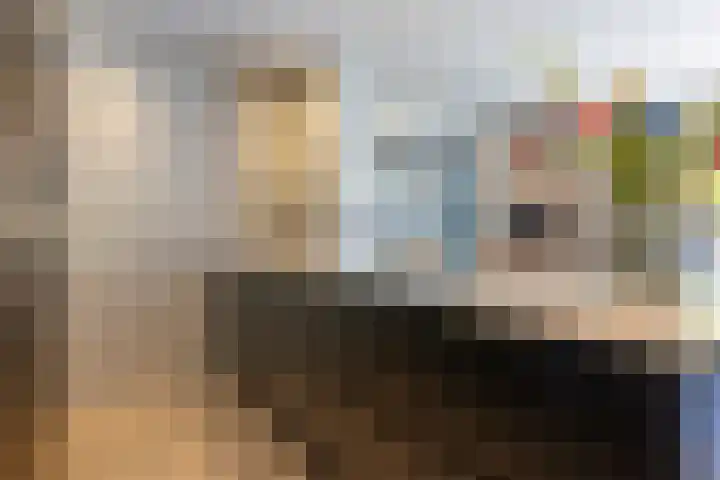 De Kievit 9 Vroomshoop thumbnail 17