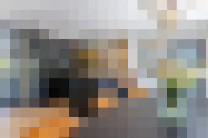 De Kievit 9 Vroomshoop thumbnail 19