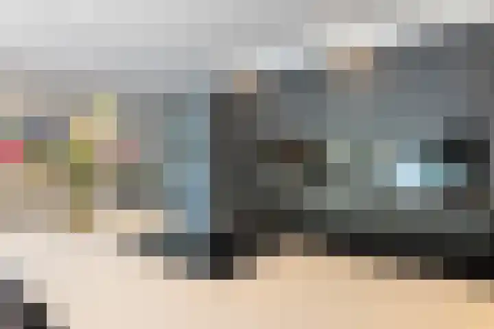 De Kievit 9 Vroomshoop thumbnail 22