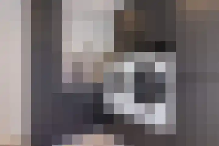 De Kievit 9 Vroomshoop thumbnail 23