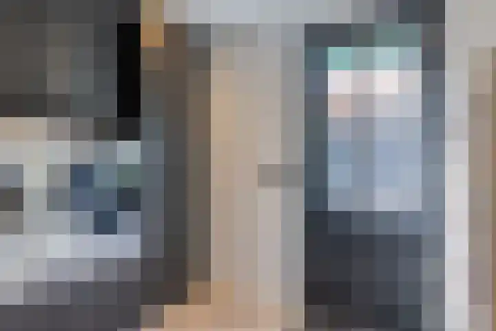 De Kievit 9 Vroomshoop thumbnail 24