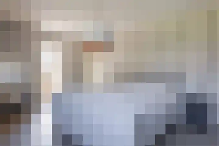 De Kievit 9 Vroomshoop thumbnail 26
