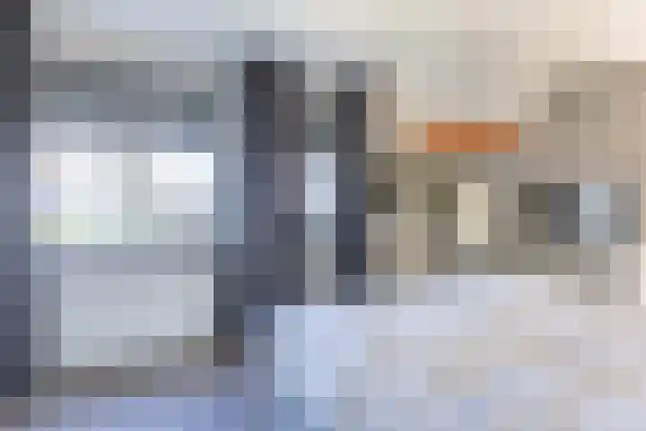 De Kievit 9 Vroomshoop thumbnail 27