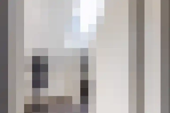 De Kievit 9 Vroomshoop thumbnail 28