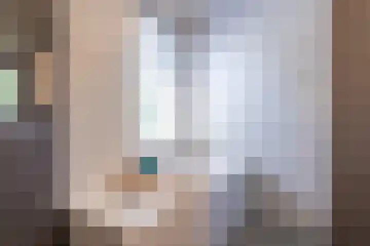 De Kievit 9 Vroomshoop thumbnail 31