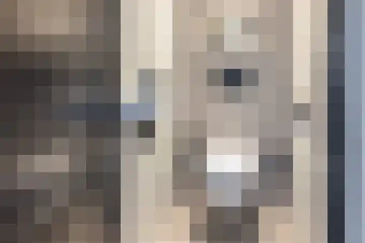 De Kievit 9 Vroomshoop thumbnail 5