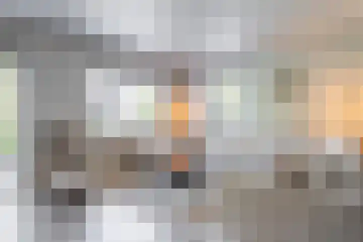 De Kievit 9 Vroomshoop thumbnail 6