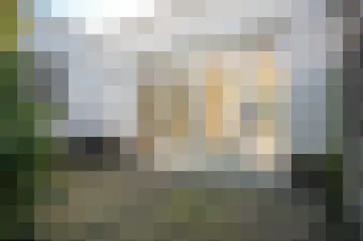 De Kikvorst 1 Dreumel thumbnail 26
