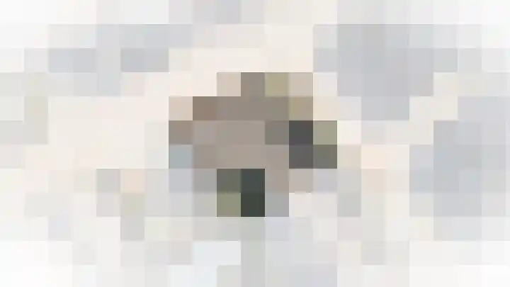 De Kikvorst 1 Dreumel thumbnail 36