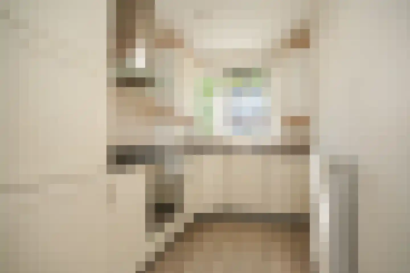 De Kikvorst 1 Dreumel thumbnail 9