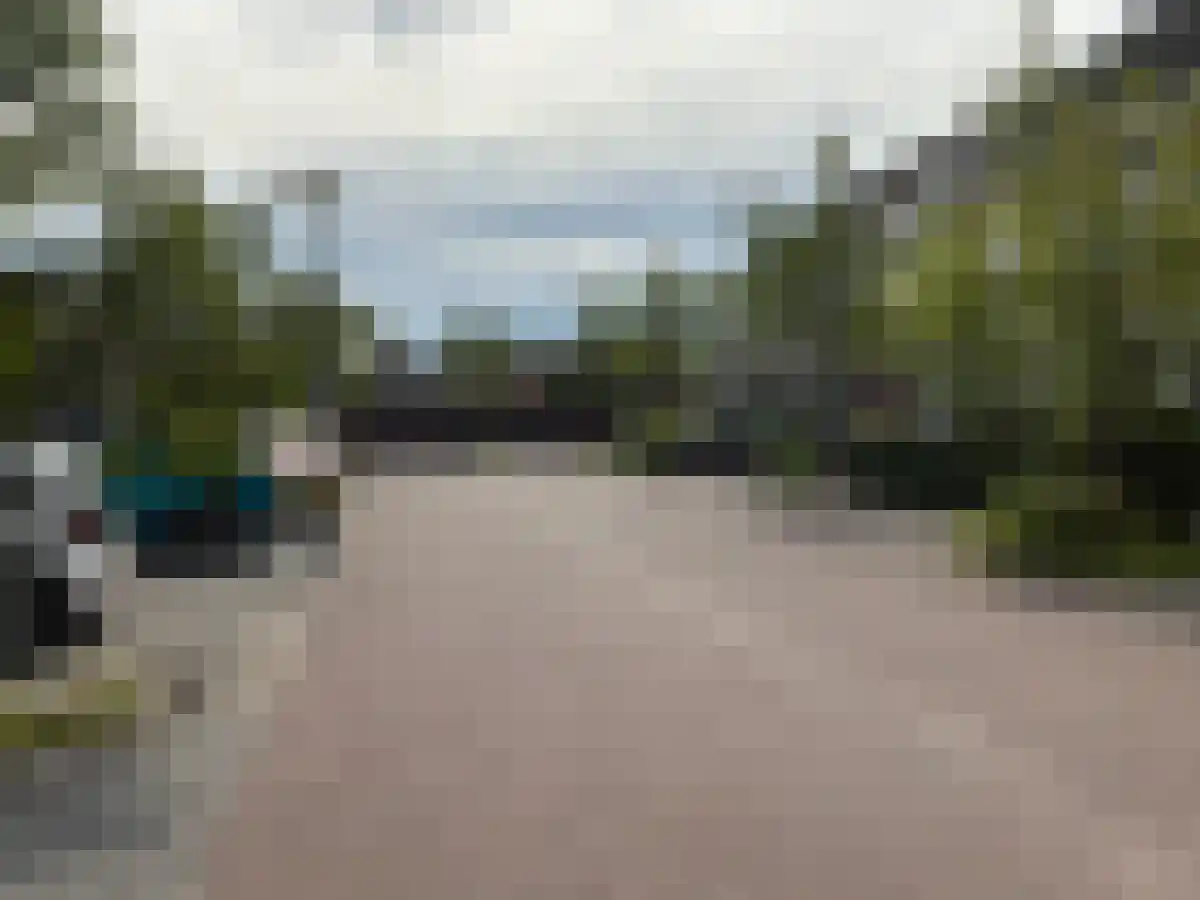 De Kikvorst 15 Dreumel thumbnail 6