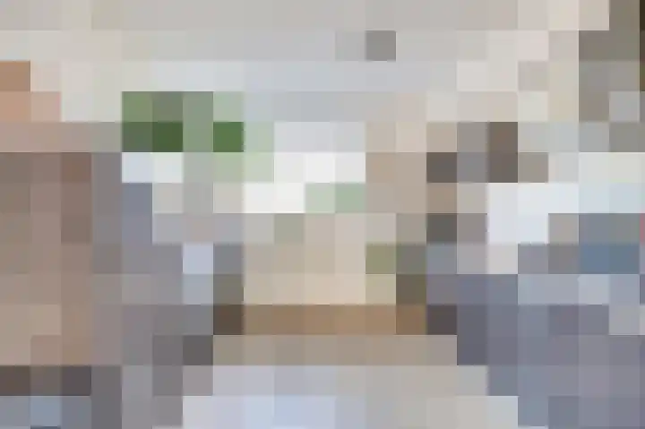 De Killick 69 Dronten foto 3