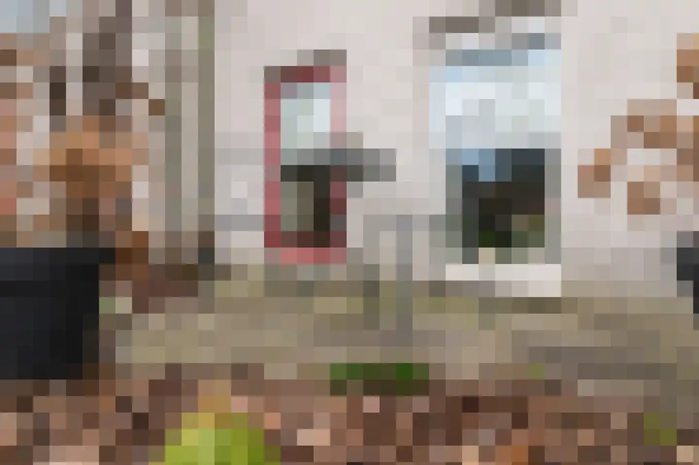 de Kimen 29 Heerenveen thumbnail 4