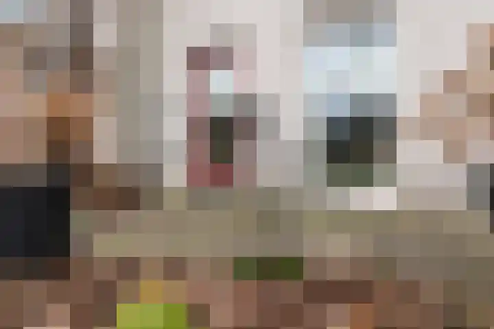 de Kimen 29 Heerenveen thumbnail 4
