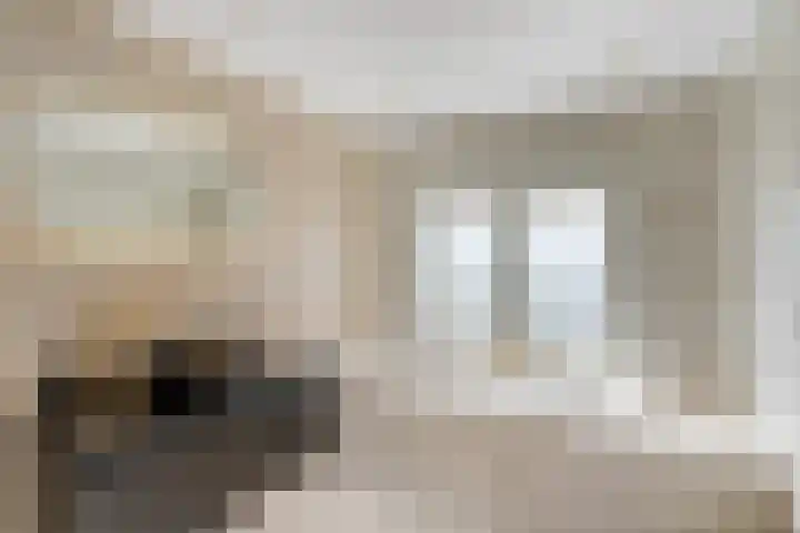 De Kist 61 Elst thumbnail 25