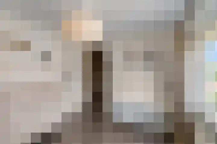De Kist 61 Elst thumbnail 30