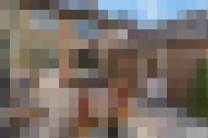 De Kist 61 Elst thumbnail 4