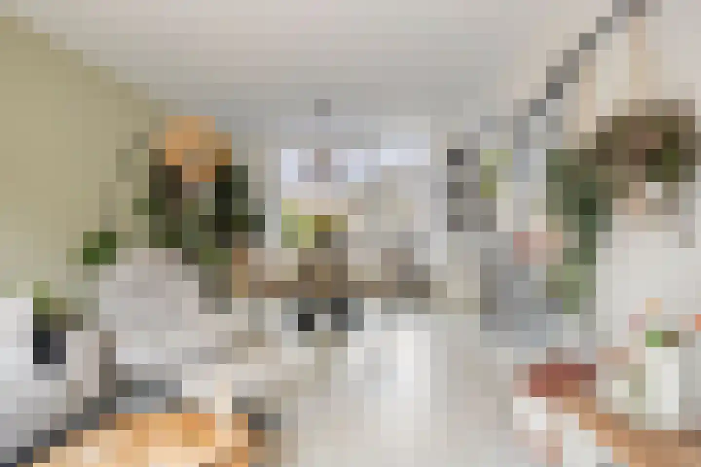 De Kist 66 Elst thumbnail 11