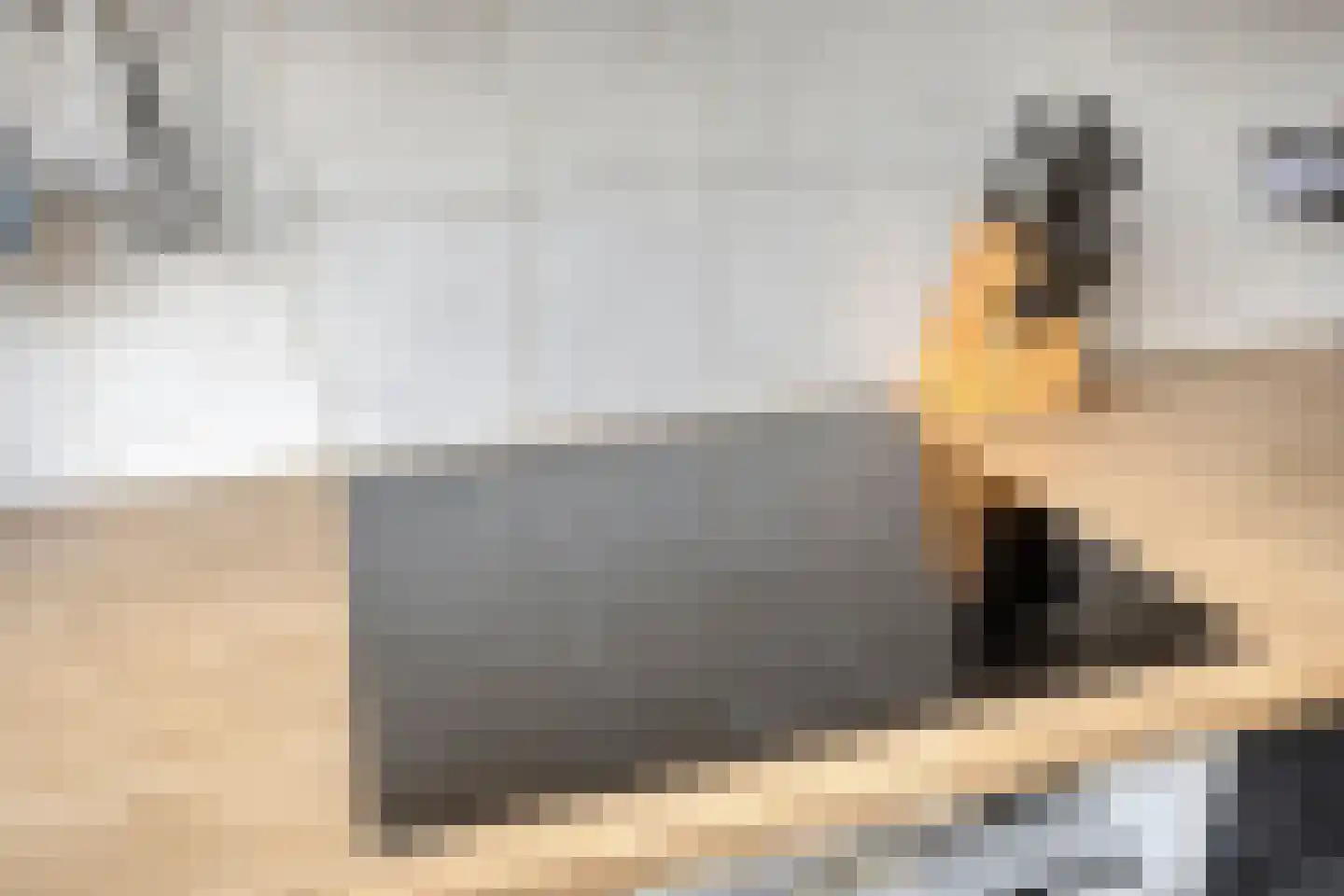 De Kist 66 Elst thumbnail 15