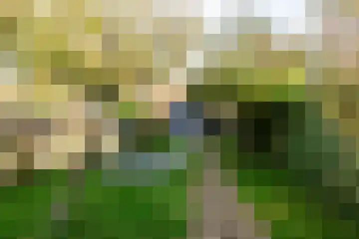 De Kistemaker 12 Heiloo foto 2