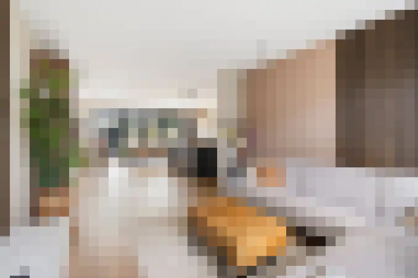 De Kistemaker 20 Heiloo thumbnail 10