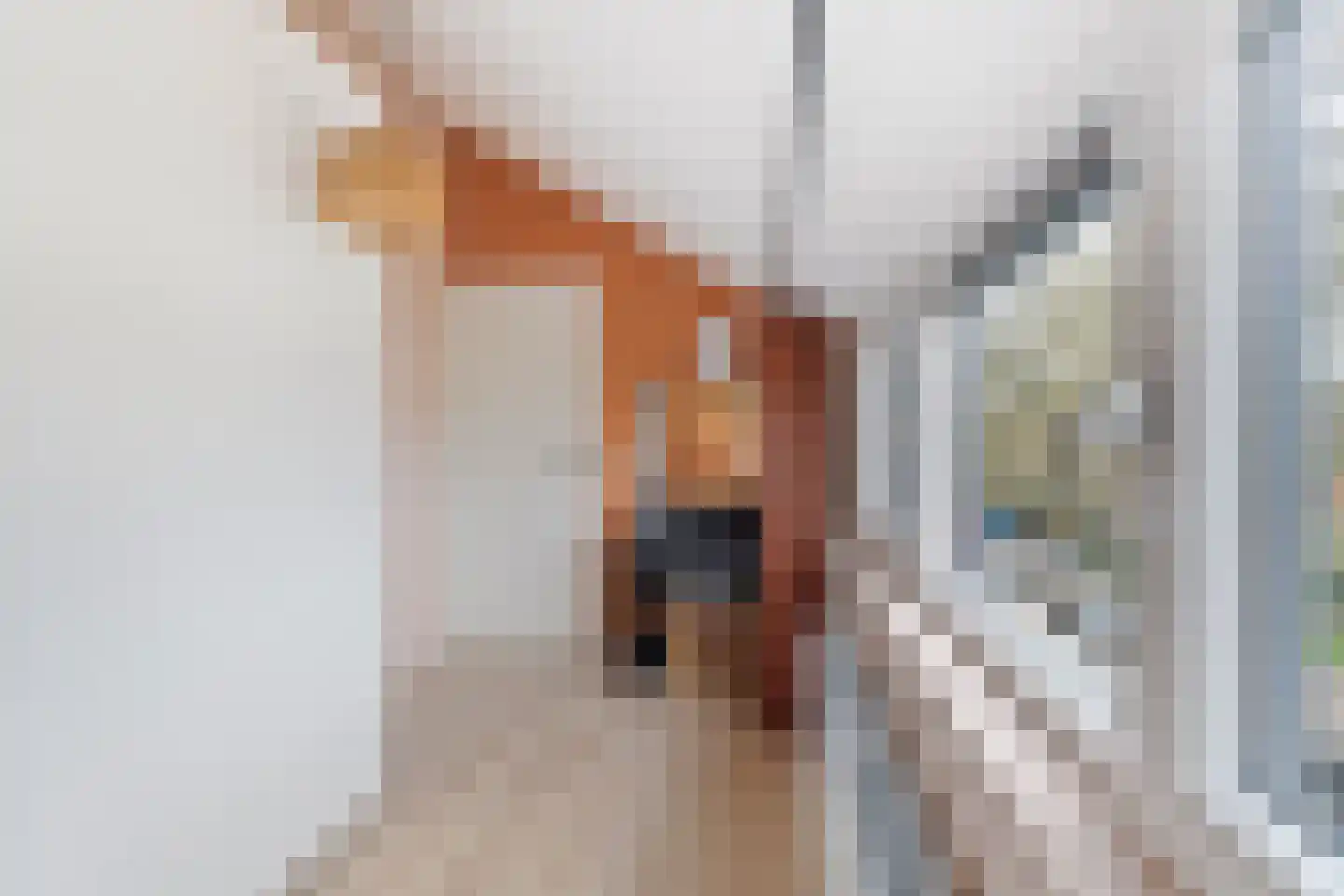 De Kistemaker 20 Heiloo thumbnail 26