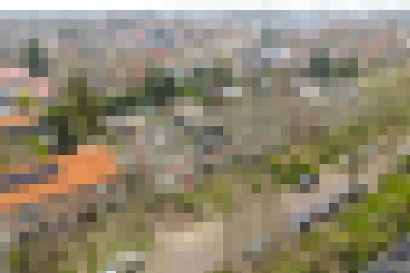 De Kistemaker 20 Heiloo thumbnail 35