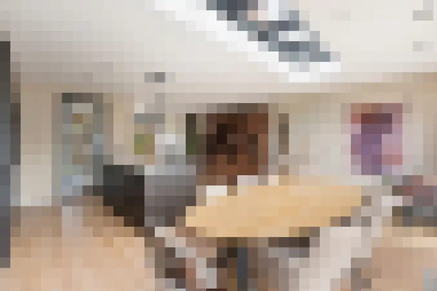 De Kistemaker 20 Heiloo thumbnail 5