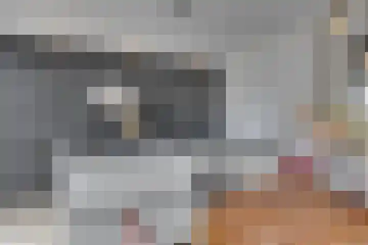 De Klamp 10 Elst Ut thumbnail 11