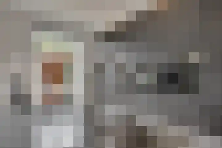 De Klamp 10 Elst Ut thumbnail 12