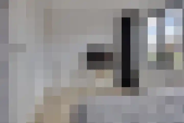 De Klamp 10 Elst Ut thumbnail 14
