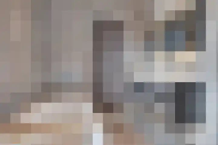 De Klamp 10 Elst Ut thumbnail 17