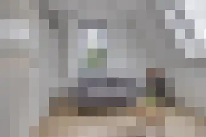 De Klamp 10 Elst Ut thumbnail 25